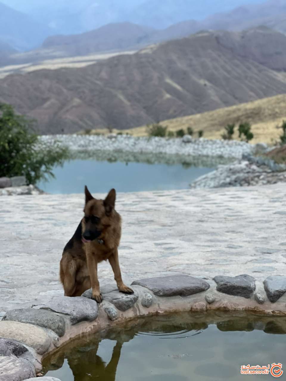 خیره به تصویر خویش