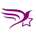 تک ستاره نیلوفر زرین