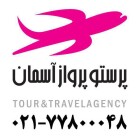 پرستو پرواز آسمان