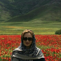 صونا رجعتی