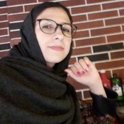 Naeemeh Ghasemi