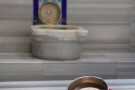 37045268.jpg