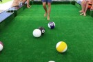 47582947.jpg