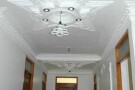 528495f15.jpg