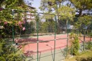 6904667.jpg