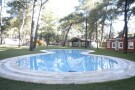 6904959.jpg