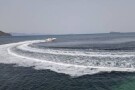 70101563.jpg