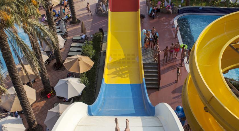 93131317.jpg