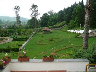 P1050152.jpg