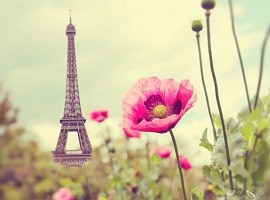 بهترین شهرها برای مسافرت در بهار - بخش اول