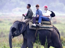 رشد روز افزون فیل سواری و خطرات جانی آن