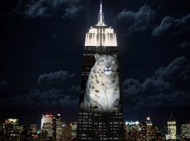 نورپردازی ساختمان امپایر استیت نیویورک به یاد سسیل و حیوانات رو به انقراض