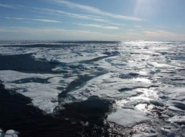 حدس و گمان ها درباره صدای مرموز اقیانوس منجمد شمالی