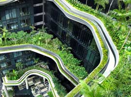 چرا سنگاپور سازگارترین کشور با محیط زیست در آسیا است ؟