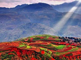 مزارع پلکانی در چین ، قطعه ای از بهشت + تصاویر