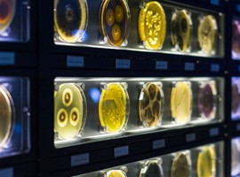 موزه میکروب آمستردام