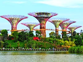 گاردنز بای دی بی ، پارکی زیبا در سنگاپور