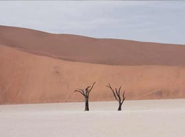 تصاویری زیبا از سرزمین خشک و خشن نامیبیا