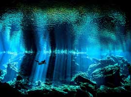 تصاویر مسحورکننده از دنیای زیر آب