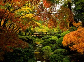 ده باغ ژاپنی خارق العاده + تصاویر