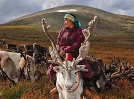 تصاویری زیبا از  زندگی مردم مغولستان با گوزن ها