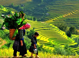 ویتنام: بهشت مسافران ماجراجو