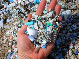 کامیلو: ساحل پلاستیکی هاوایی
