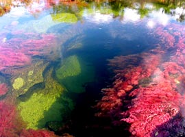 رنگی ترین رودخانه های جهان