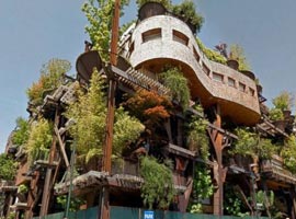 خانه ای ساخته شده از 150 درخت + تصاویر