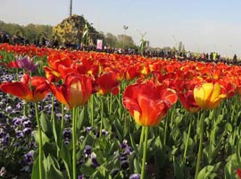 تصاویری از جشنواره گل در ارومیه